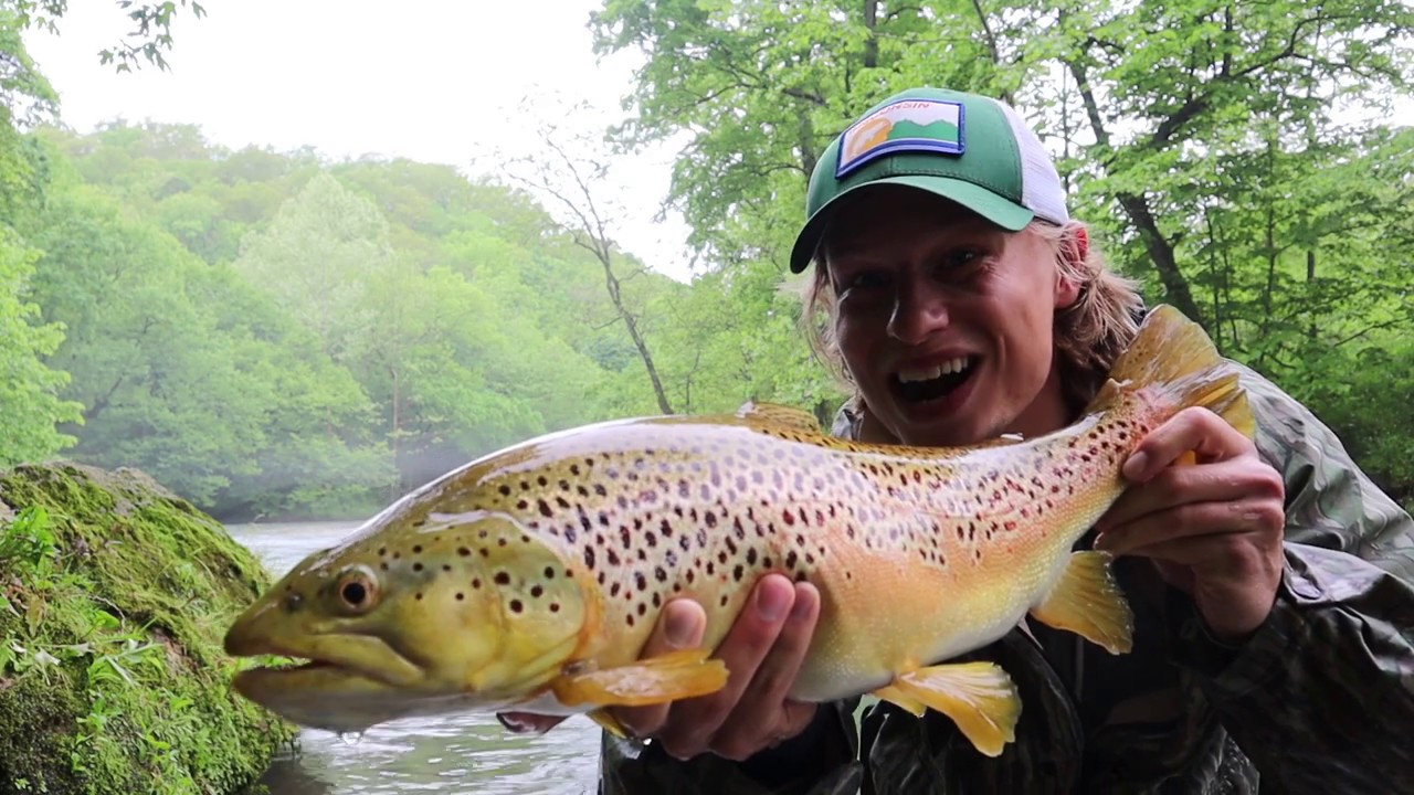 Ever Wanted To Fish the Current River of Missouri's Ozarks? - We Love
